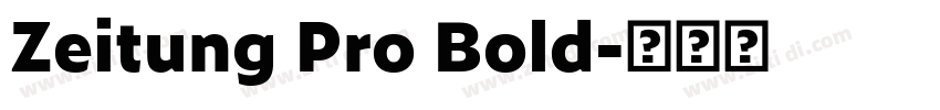 Zeitung Pro Bold字体转换
